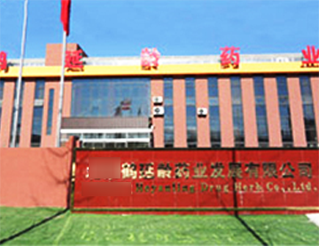 ������ҩҵ