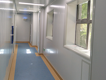 ����Լ���������